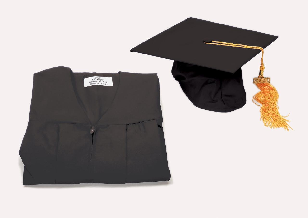 Professional/Faculty Bachelor's Gown | Academic Apparel