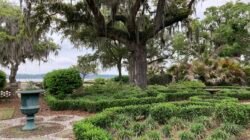 Beau Gown Garden Club Where Elegance Blooms