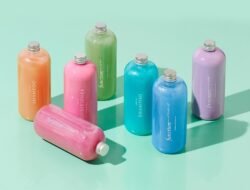 Prose or function of beauty in the art of translation