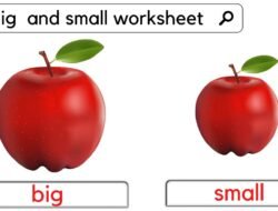 Big Beautiful Bill Student Loan Changes That Matter